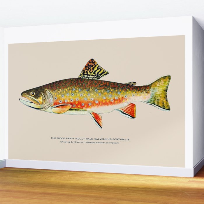 Brook Trout Wall Mural Gallery Image 2