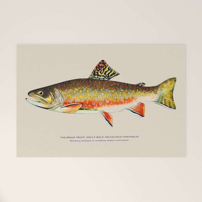Brook Trout Welcome Mat Gallery Image 1