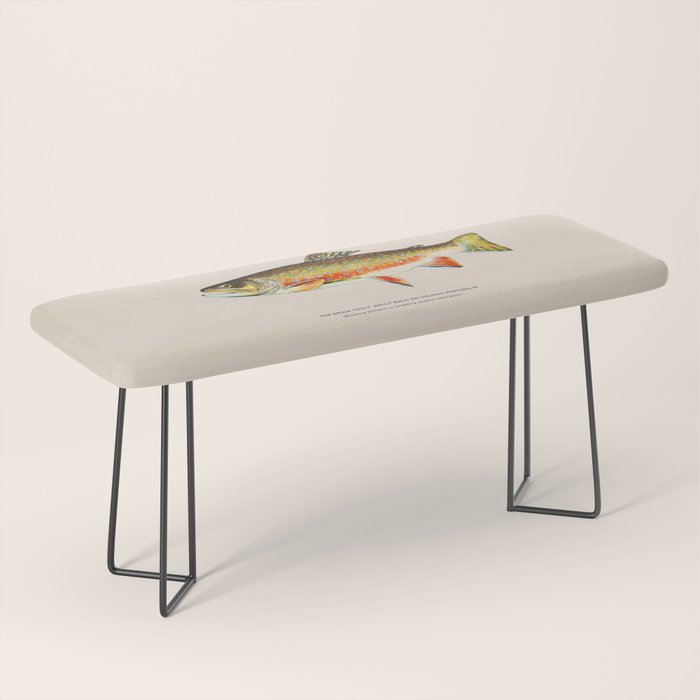 Brook Trout Bench Gallery Image 1