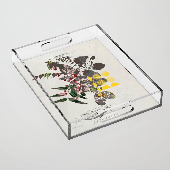 the first plant mix it up sunday Acrylic Tray Gallery Image 1