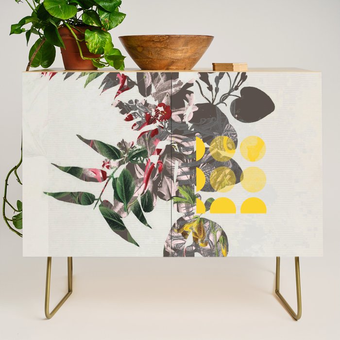 the first plant mix it up sunday Credenza Gallery Image 1