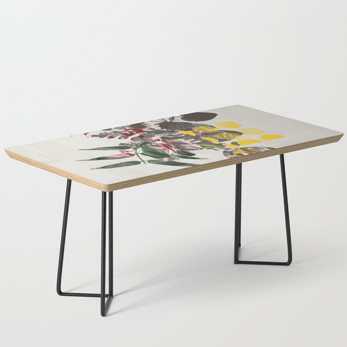 the first plant mix it up sunday Coffee Table Gallery Image 1