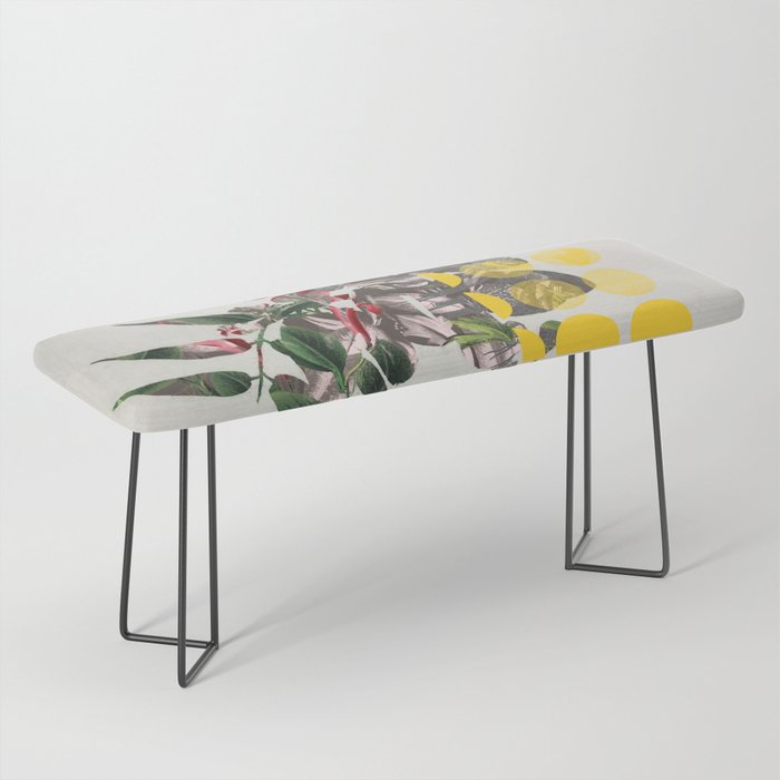 the first plant mix it up sunday Bench Gallery Image 1