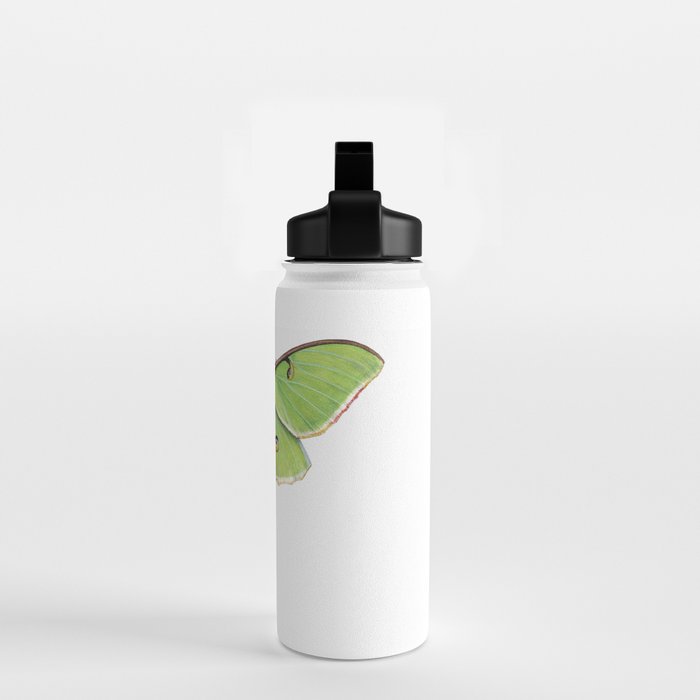 Luna Moth (Actias luna) II Water Bottle Gallery Image 2
