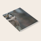 The Northern Howk Owl - Landscape and Nature Photography Notebook Gallery Image 2