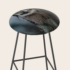The Northern Howk Owl - Landscape and Nature Photography Stool Gallery Image 2