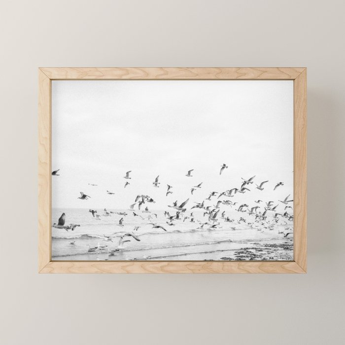 "Seagulls" | Coastal black and white photo | Film photography | Beach Mini Art Print Gallery Image 1