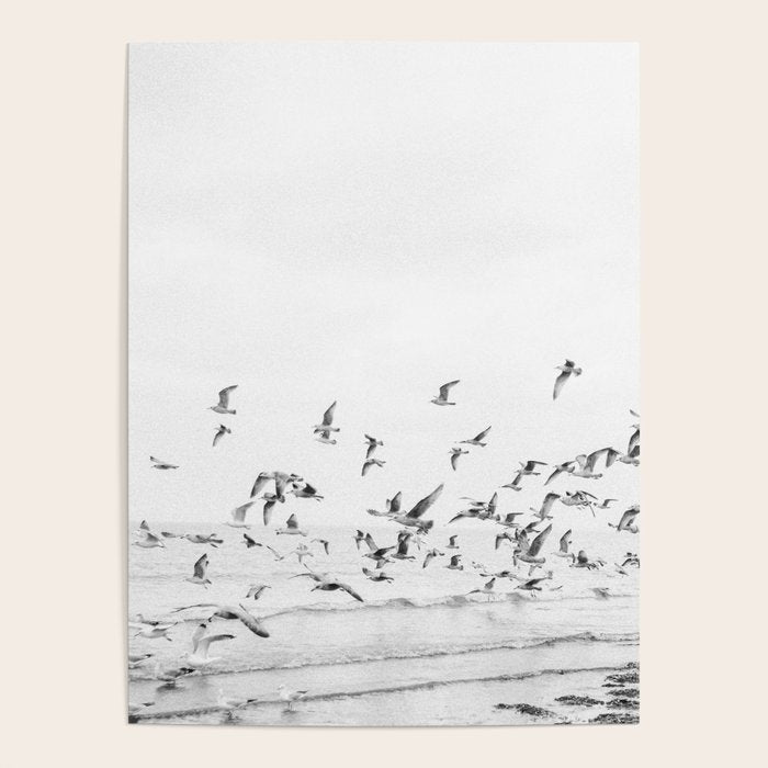"Seagulls" | Coastal black and white photo | Film photography | Beach Poster Gallery Image 4