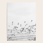 "Seagulls" | Coastal black and white photo | Film photography | Beach Poster Gallery Image 4
