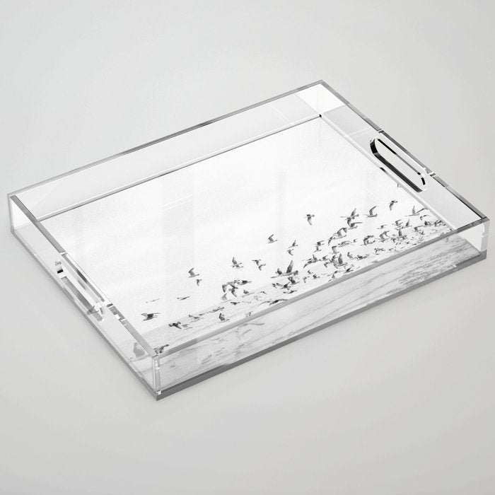 "Seagulls" | Coastal black and white photo | Film photography | Beach Acrylic Tray Gallery Image 1