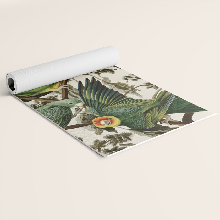 Carolina Parrot - John James Audubon's Birds of America Print Yoga Mat Gallery Image 2