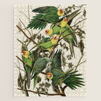 Carolina Parrot - John James Audubon's Birds of America Print Jigsaw Puzzle Gallery Image 1