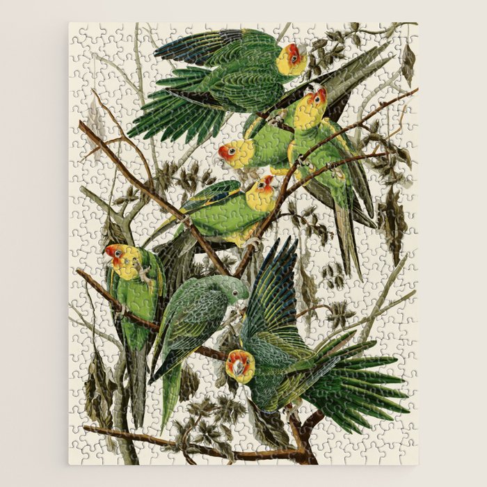 Carolina Parrot - John James Audubon's Birds of America Print Jigsaw Puzzle Gallery Image 1