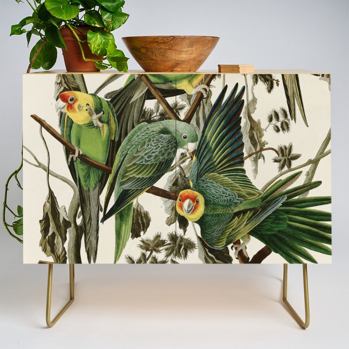 Carolina Parrot - John James Audubon's Birds of America Print Credenza Gallery Image 1