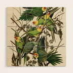 Carolina Parrot - John James Audubon's Birds of America Print Wood Wall Art Gallery Image 1