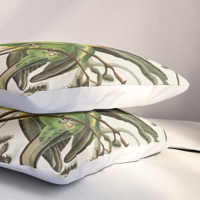 Carolina Parrot - John James Audubon's Birds of America Print Pillow Sham Gallery Image 3