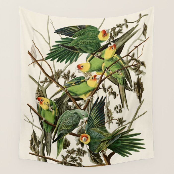Carolina Parrot - John James Audubon's Birds of America Print Wall Tapestry Gallery Image 1