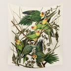 Carolina Parrot - John James Audubon's Birds of America Print Wall Tapestry Gallery Image 4