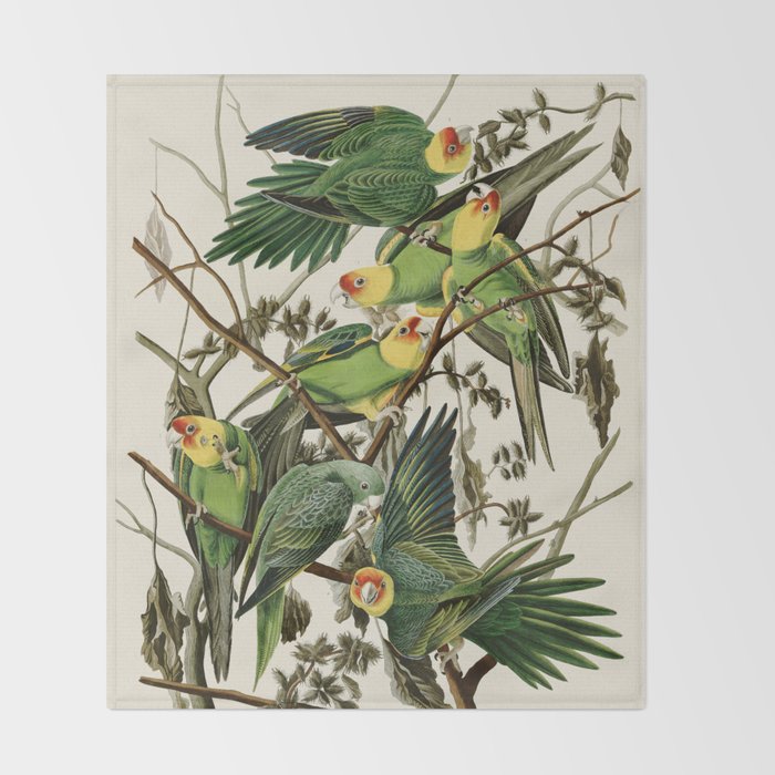 Carolina Parrot - John James Audubon's Birds of America Print Throw Blanket Gallery Image 2