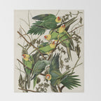 Carolina Parrot - John James Audubon's Birds of America Print Throw Blanket Gallery Image 2