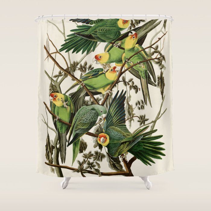 Carolina Parrot - John James Audubon's Birds of America Print Shower Curtain Gallery Image 1