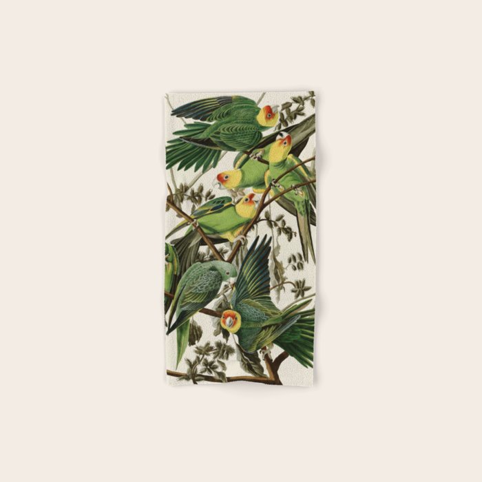 Carolina Parrot - John James Audubon's Birds of America Print Bath Towel Gallery Image 1