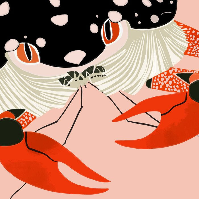 Vivid Crab Coffee Mug Gallery Image 2