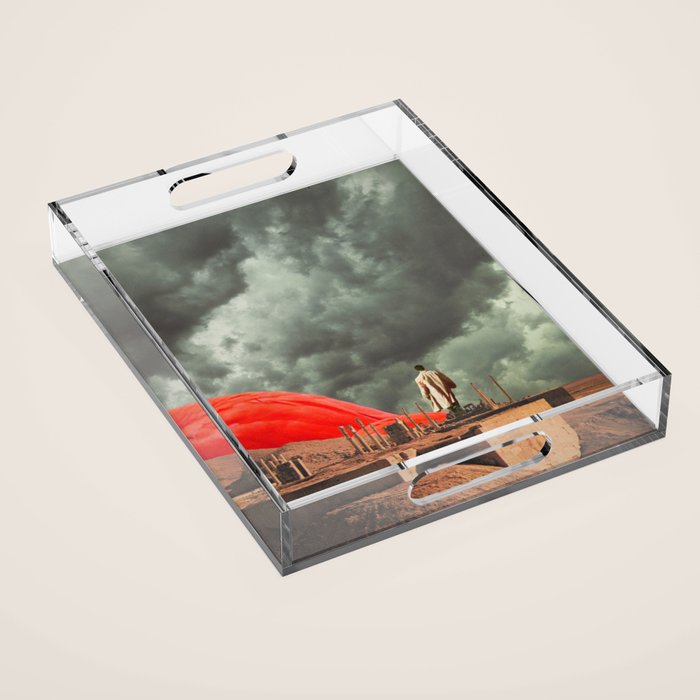 Birds Acrylic Tray Gallery Image 1