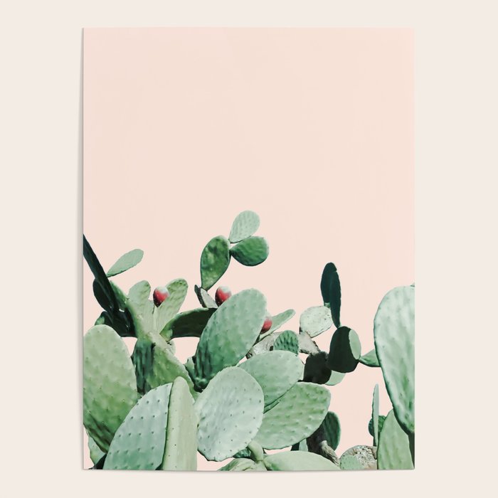 Cactus culture Poster Gallery Image 1