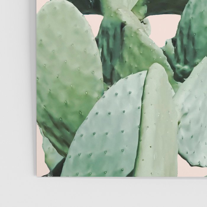 Cactus culture Poster Gallery Image 3