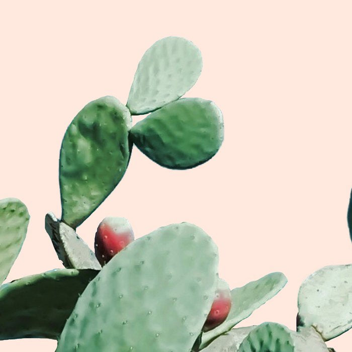 Cactus culture Coffee Mug Gallery Image 2