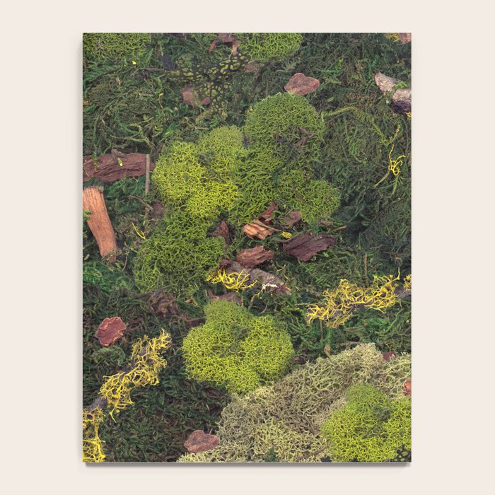 Forest Floor Notebook Gallery Image 4