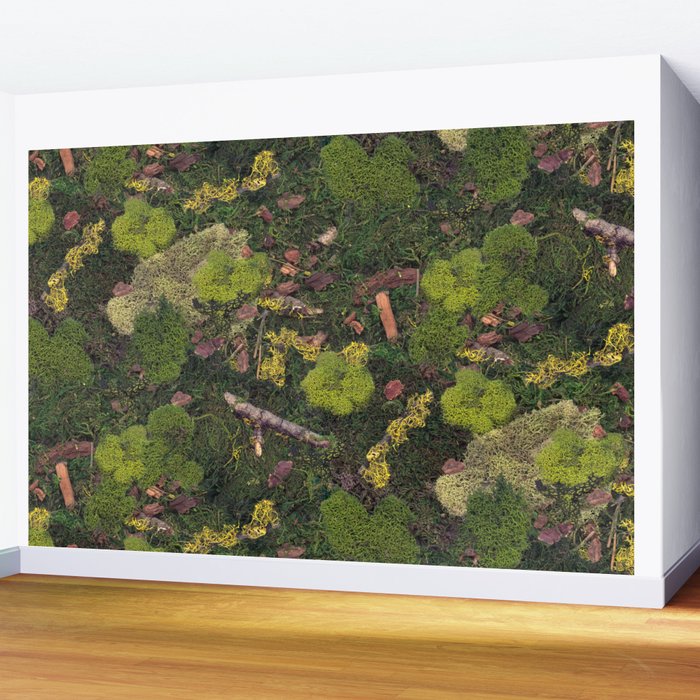 Forest Floor Wall Mural Gallery Image 2