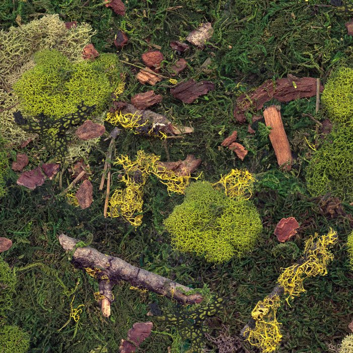 Forest Floor Coffee Mug Gallery Image 2
