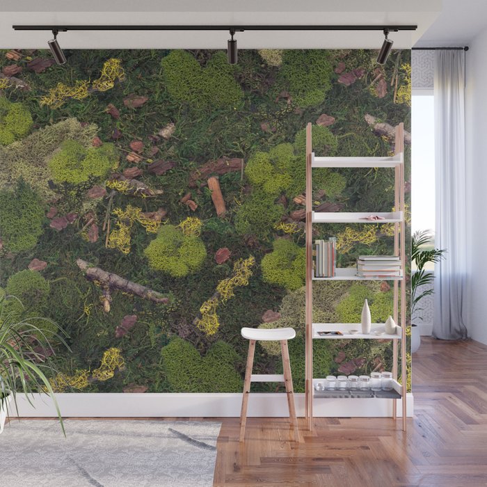 Forest Floor Wall Mural Gallery Image 1