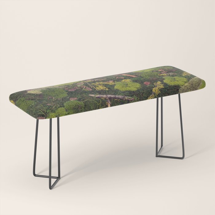 Forest Floor Bench Gallery Image 1