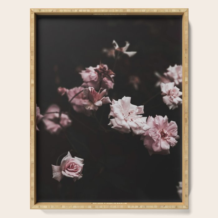 Wild Pink Roses - Flower photography - Dramatic Floral - nature Serving Tray Gallery Image 1