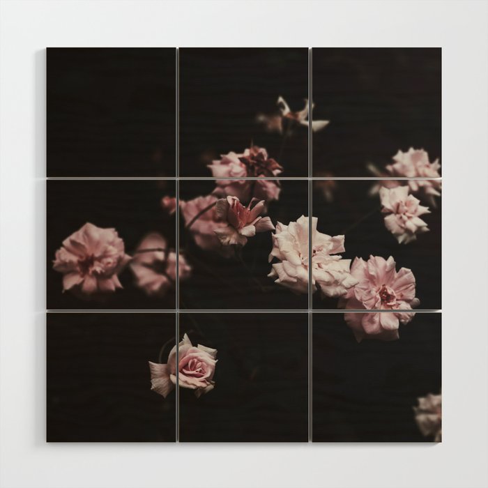 Wild Pink Roses - Flower photography - Dramatic Floral - nature Wood Wall Art Gallery Image 1