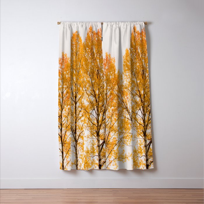 Aspen Trees #decor #society6 #buyart Window Curtain Gallery Image 3