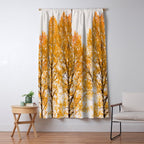 Aspen Trees #decor #society6 #buyart Window Curtain Gallery Image 5
