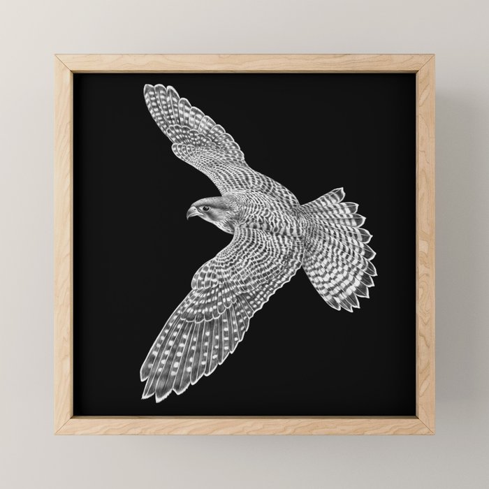 Peregrine Falcon Mini Art Print Gallery Image 1