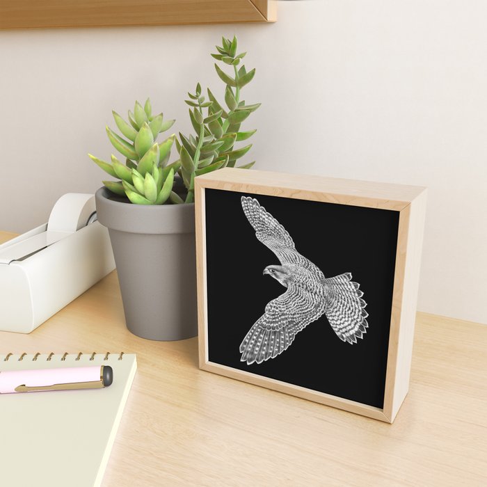 Peregrine Falcon Mini Art Print Gallery Image 2