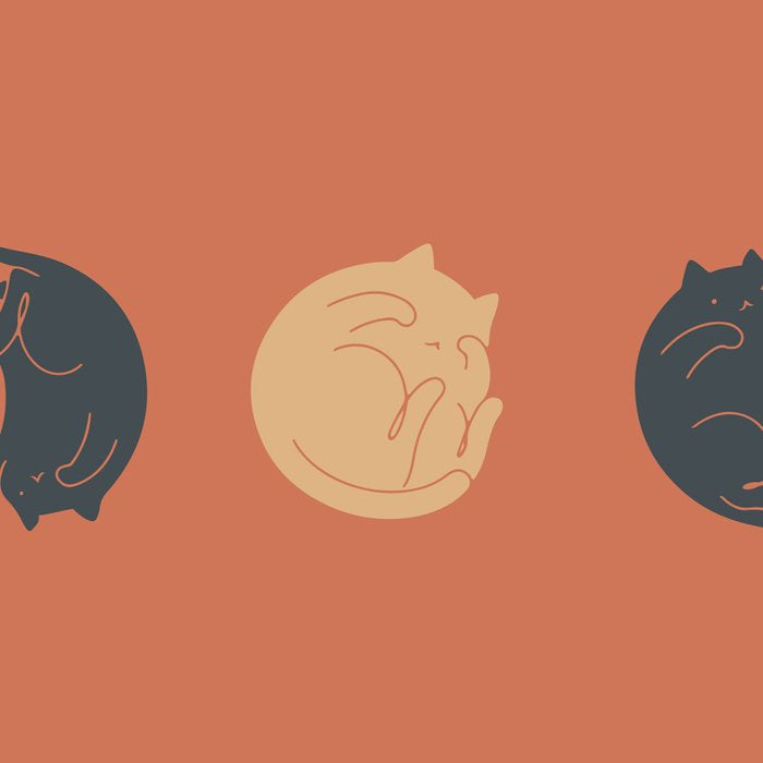 Cat Landscape 61: Meow Phases 2 Coffee Mug Gallery Image 2
