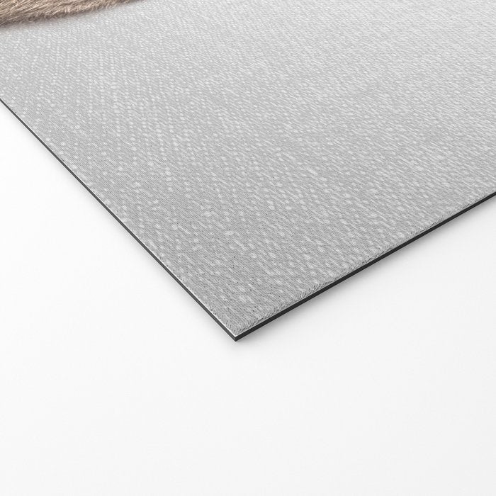 Rabbit Tail - Colorful Welcome Mat Gallery Image 2