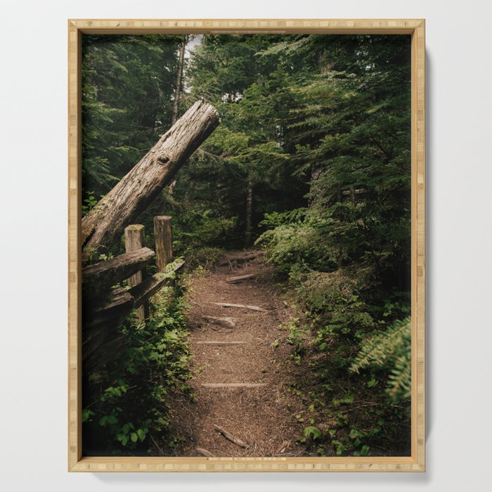 Forest Path Serving Tray Gallery Image 1