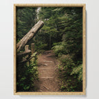 Forest Path Serving Tray Gallery Image 1