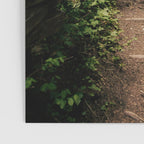 Forest Path Poster Gallery Image 3
