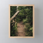 Forest Path Mini Art Print Gallery Image 1