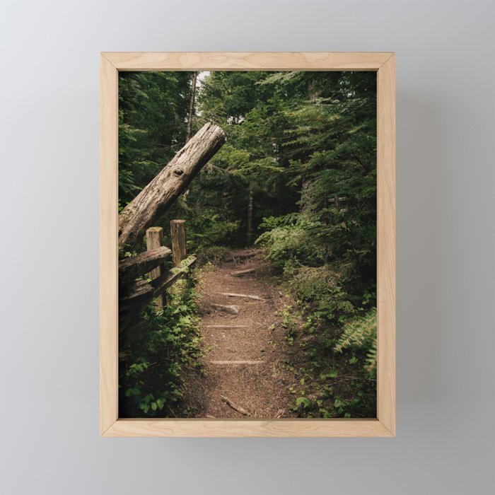 Forest Path Mini Art Print Gallery Image 1