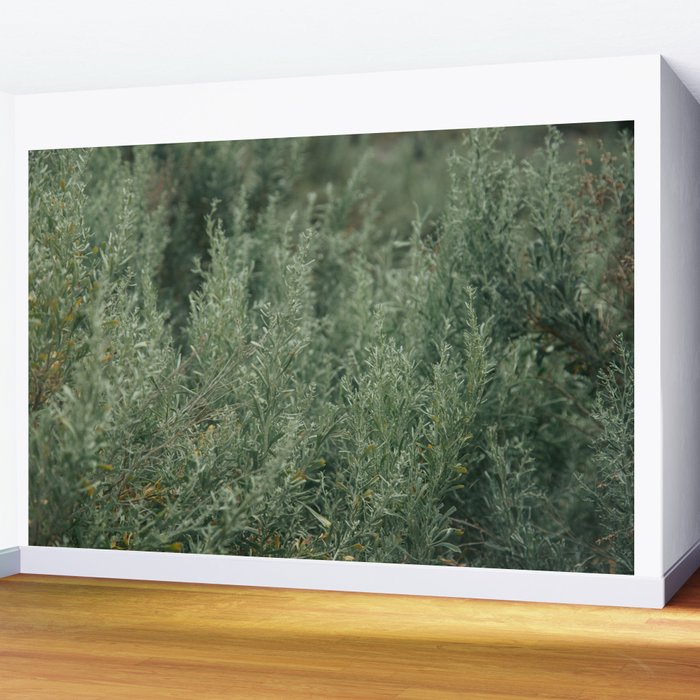 Sage Wall Mural Gallery Image 2